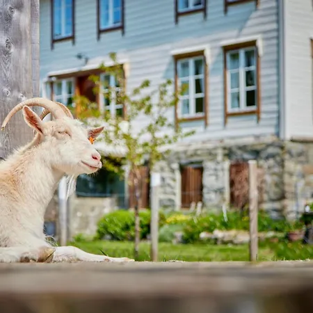 Overvoll Farm Stranda  Exterior photo