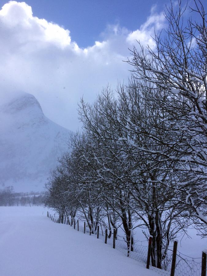 Overvoll Farm * Stranda (More og Romsdal)