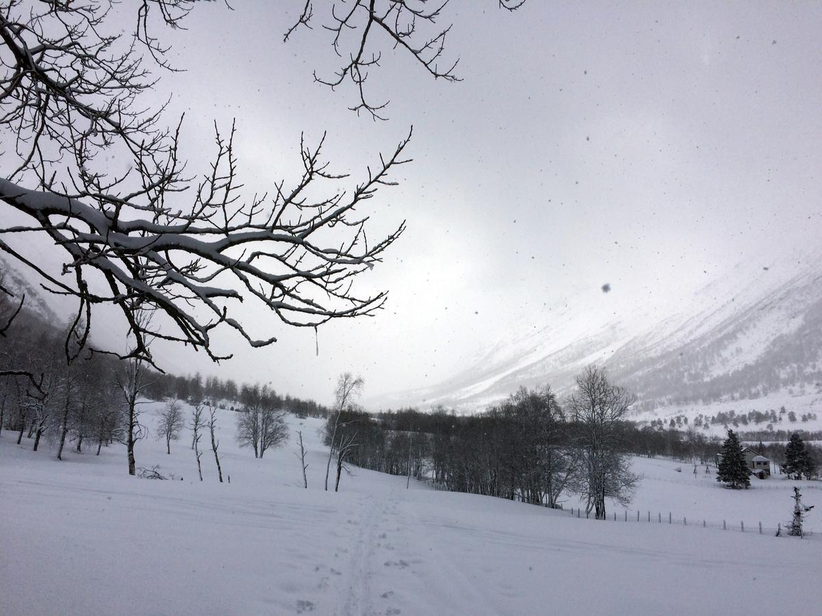 Overvoll Farm * Stranda (More og Romsdal)